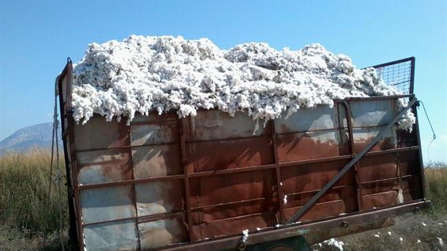 Παράταση της εκκοκκιστικής περιόδου ζητά η ΔΟΒ από τον Υπουργό ΥΠΑΑΤ