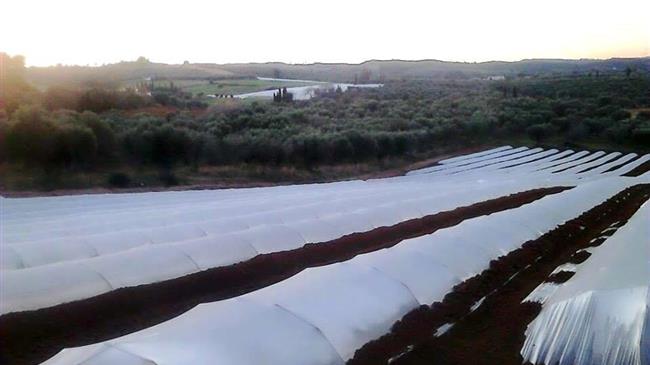 Πρόστιμα- “φωτιά” καλούνται να πληρώσουν παραγωγοί θερμοκηπιακών προϊόντων 