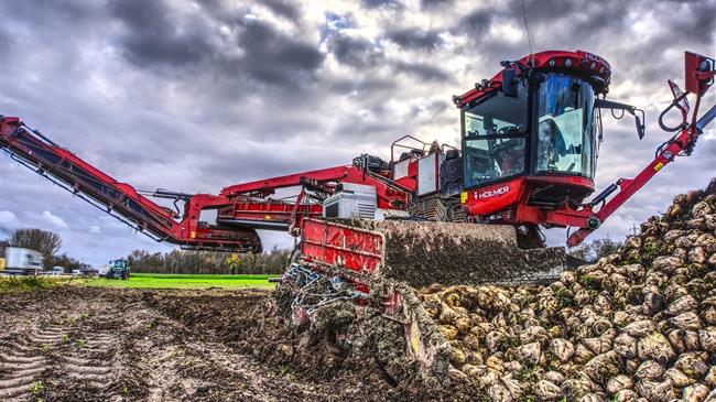 Γαλλία: Μειωμένη η καλλιεργούμενη έκταση ζαχαρότευτλων το 2023