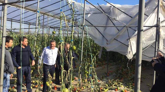 Στήριξη πληγέντων παραγωγών σε Βιάννο, Ιεράπετρα και Σητεία