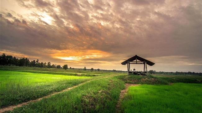 Πώς η γεωργική βιομηχανία καταπολεμά την κλιματική αλλαγή