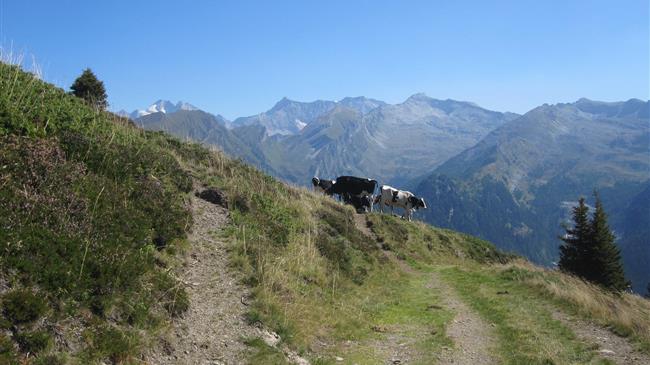 Εξισωτική αποζημίωση: Τροποποίηση ημερομηνιών για τις ενστάσεις