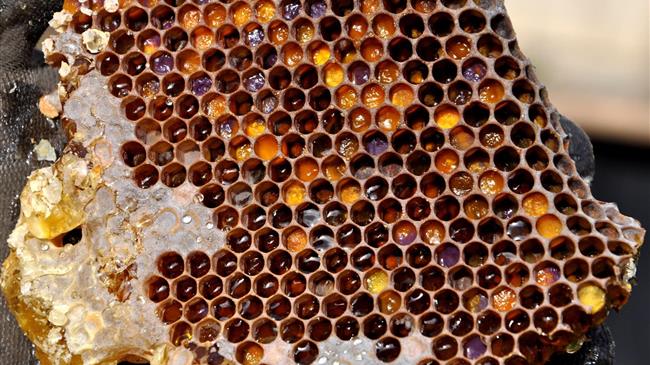 Ευρωπαϊκή Εισαγγελία: Στο "μικροσκόπιο" η Ρουμανία για υπόθεση απάτης με επιδοτήσεις 1,32 εκατ. ευρώ στον τομέα της μελισσοκομίας