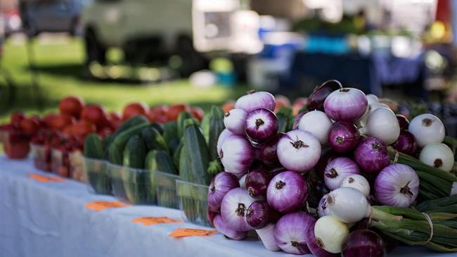 Brexit – Lightning quick response needed to avoid more border chaos