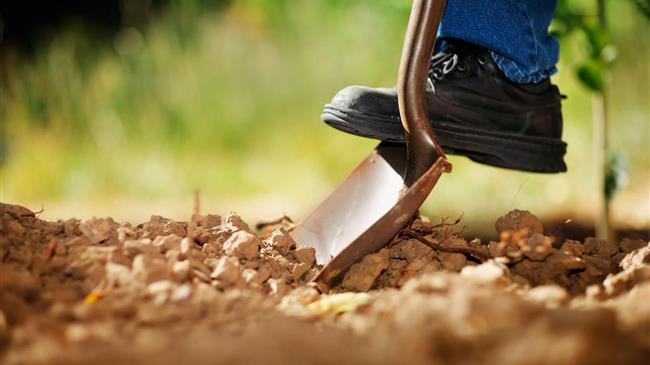 Αποτυχία της κυβέρνησης στην εφαρμογή της ΚΑΠ – Αγρότες στο σκοτάδι λόγω έλλειψης ενημέρωσης