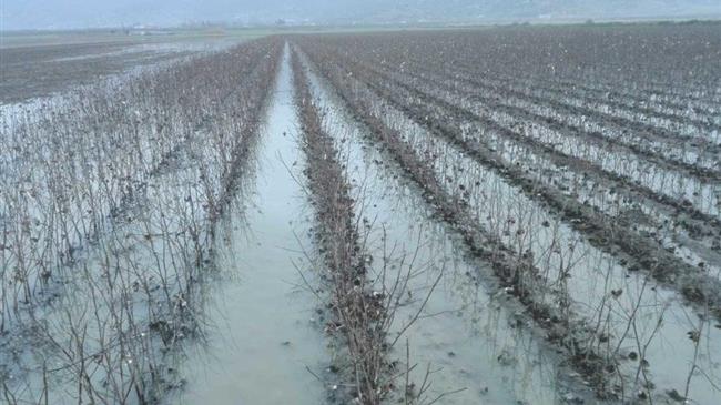 Σοβαρά προβλήματα σε  40 χιλ. στρέμματα καλλιεργειών στη Λάρισα