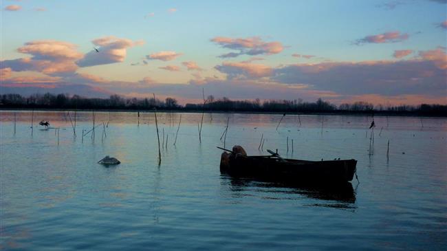 Fisheries and aquaculture are a critical part of global agri-food systems transformation, says FAO Director-General