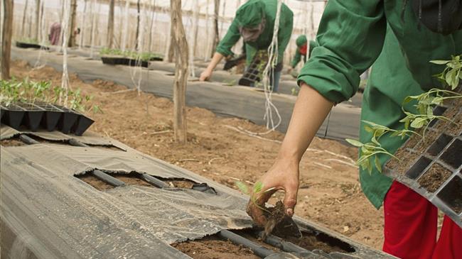 Canada extends help to farmers