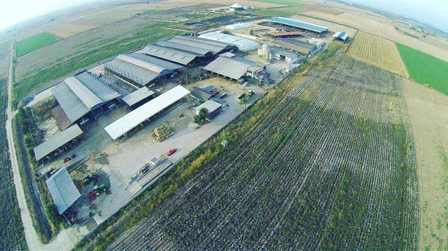 «Γαλακτοπαραγωγός Αγελαδοτροφία – Η συμβολή της στην ανάπτυξη της εθνικής οικονομίας»