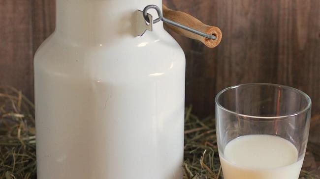 Ημερίδα για το Ελληνικό γάλα