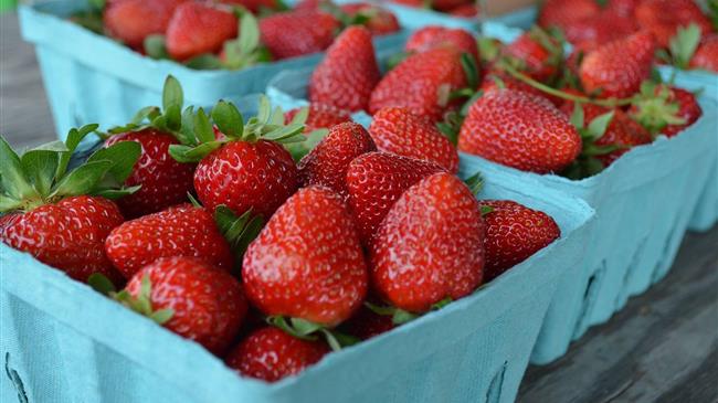 Ρεκόρ εξαγωγών για φράουλες και καρπούζια, προβληματισμός για ατυποποίητα προϊόντα