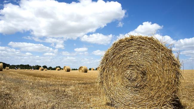 «Τί μέλλει γενέσθαι με την αναγραφή του ΑΤΑΚ στις φετινές δηλώσεις ΟΣΔΕ;»