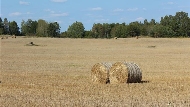 Διευκρινίσεις για το ΑΤΑΚ