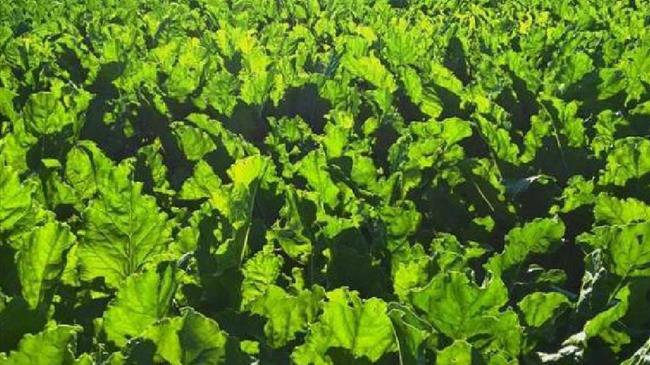 Ποια ενίσχυση; Αδειοι οι λογαριασμοί