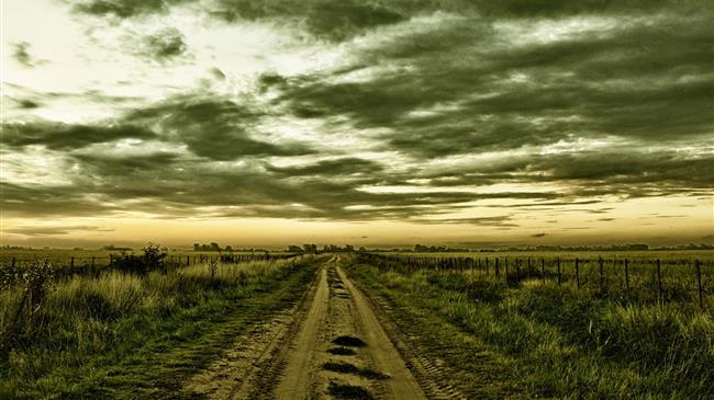 Διευθυντές τραπεζών «κλέβουν» χρήματα αγροτών αν και υπάρχει τροπολογία για ακατάσχετο