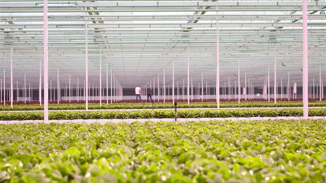 Επιχορήγηση έως και 10.000 ευρώ για ηλεκτρονικό επιχειρείν στον αγροτικό τομέα