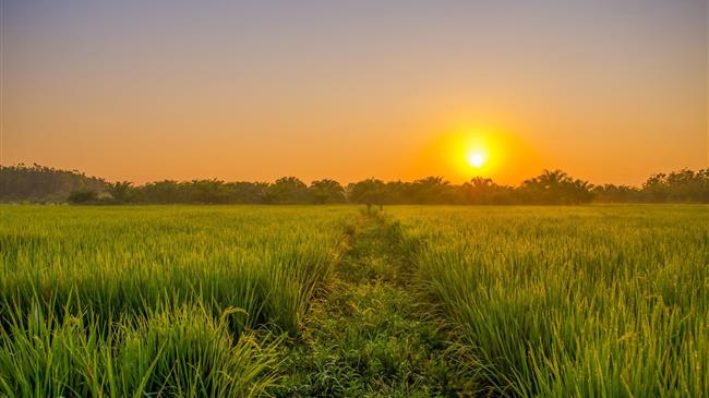 Πληρωμές των δικαιούχων βιολογικής γεωργίας στην Λάρισα 