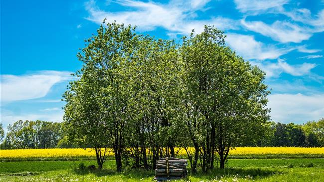 Πρωτοβουλίες ΕΝΠΕ για καταβολή εξισωτικής αποζημίωσης και ενιαίας ενίσχυσης σε χιλιάδες αγρότες και κτηνοτρόφους
