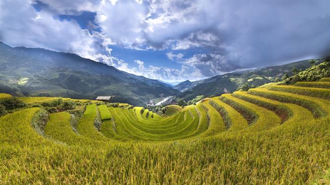 Αύξηση κατά 16 εκ. ευρώ για την Κρήτη στην Βιολογική κτηνοτροφία