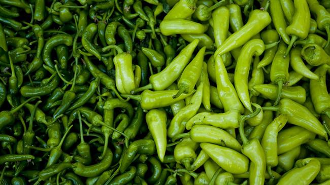 Ολοκλήρωση ενημέρωσης/ συμπεράσματα για την ίωση Καστάνης Ρυτίδωσης τομάτας -πιπεριάς