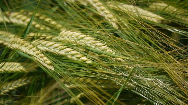 Βιοκαλλιεργητές:προβήκατε μονομερώς και χωρίς τη συναίνεσή μας στον κατακερματισμό των αγροτεμαχίων 