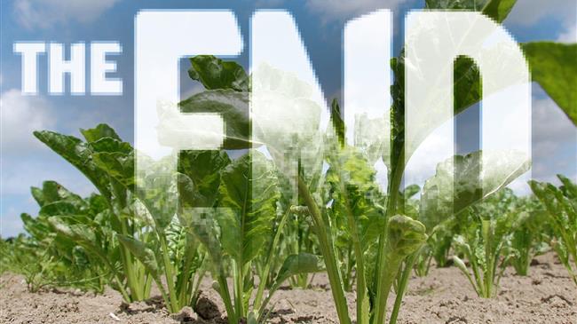 Αρνητική στάση των αρμόδιων υπουργείων προς τους Έλληνες τευτλοπαραγωγούς