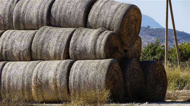 Δηλώσεις Αποστόλου για τσίπουρο, αγροτικά χρέη και εκλογές
