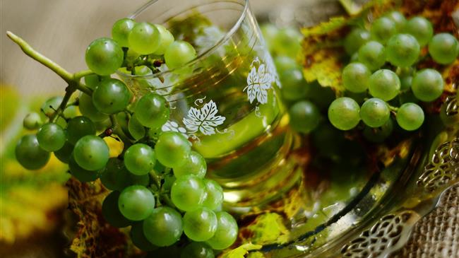 Πρόγραμμα Αναδιάρθρωσης και Μετατροπής Αμπελώνων Περιόδου 2018-2019