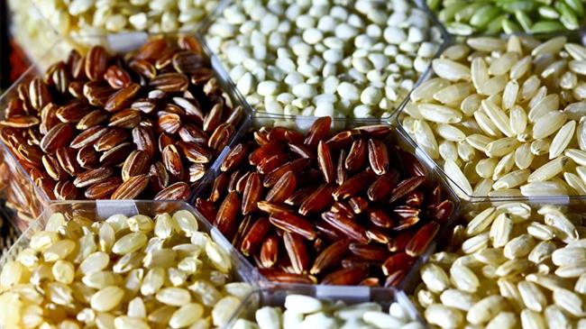 Άδεια Χρήσης Μη Βιολογικού Σπόρου