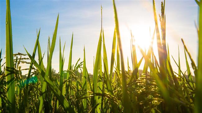 Η ΕΕ επενδύει στην έρευνα για να θέσει σε εφαρμογή το Farm to Fork