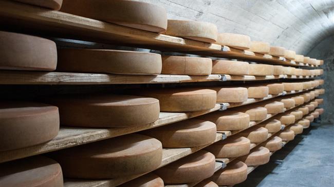 Παράμετροι οι οποίοι επηρεάζονται από τις καλλιέργειες σε ένα προϊόν