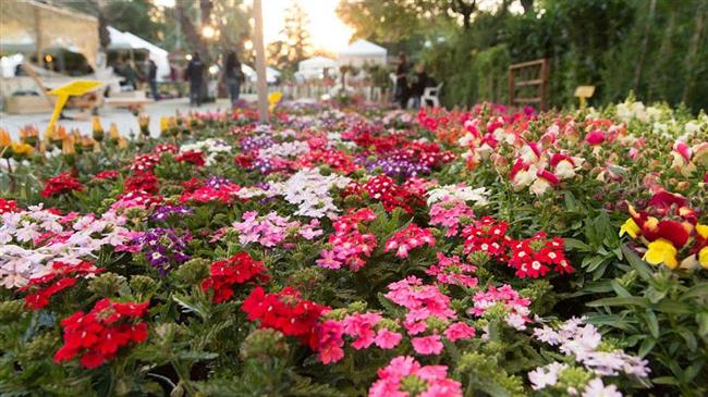 «Καινοτόμα Υλικά και Υπηρεσίες για την Παραγωγή Λαχανοκομικών και Ανθοκομικών προϊόντων»