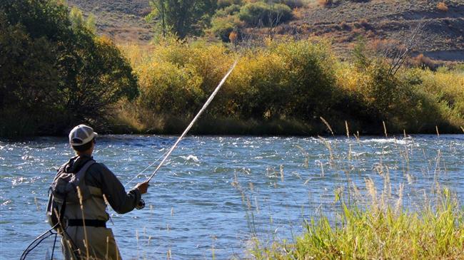 Η Επιτροπή προτείνει αλιευτικές δυνατότητες στον Ατλαντικό και στη Βόρεια Θάλασσα