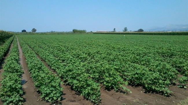 Πληρωμές βιολογικής γεωργίας στα Γρεβενά