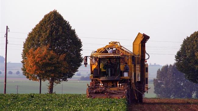 «Οι τευτλοπαραγωγοί μας πληρώνουν την απόλυτη διάλυση της Βιομηχανίας Ζάχαρης»