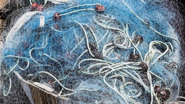 Ήπειρος: Απαγόρευση αλιείας από 1 Μάϊου έως 31 Μάϊου