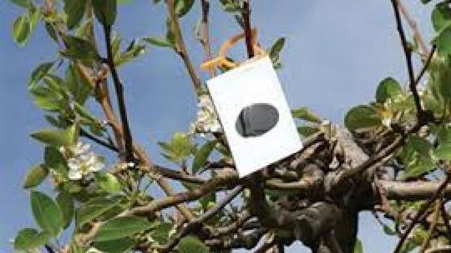 Πληρωμές «ΚΟΜΦΟΥΖΙΟ» 2024 και έναρξη προθεσμίας ενστάσεων