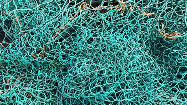 Φ. Αραμπατζή: «Ψαρεύοντας» επενδύσεις δεκάδων εκατομμυρίων ευρώ