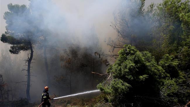Δυτική Ελλάδα: Υποβολή αιτήσεων πληγέντων από τις πυρκαγιές