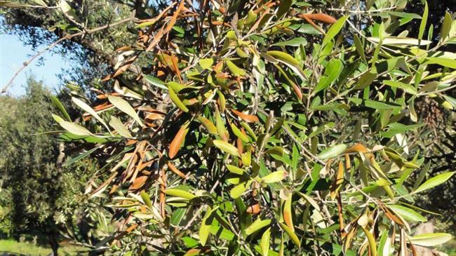 Συνάντηση ανιπεριφερειαρχών αρμόδιων για τον πρωτογενή τομέα