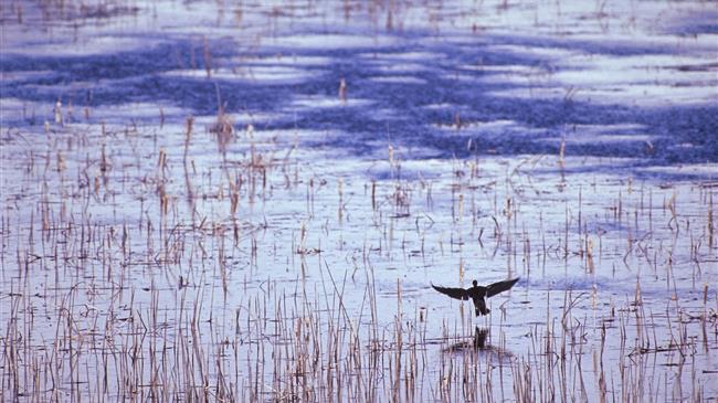    Παράταση προθεσμίας εκδήλωσης ενδιαφέροντος για τους ΦΔΠΠ