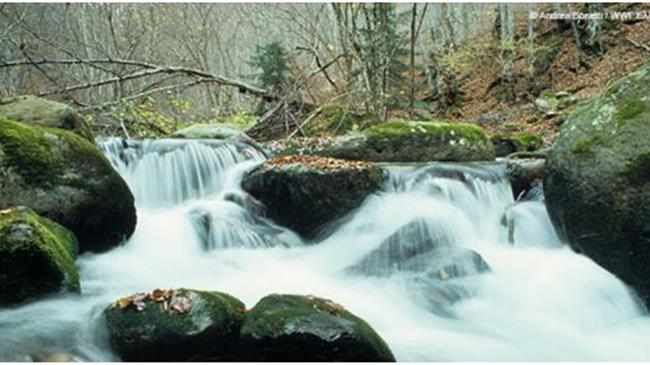 LIFE-IP 4 NATURA:Το μεγαλύτερο σε διάρκεια και προϋπολογισμό πρόγραμμα LIFE