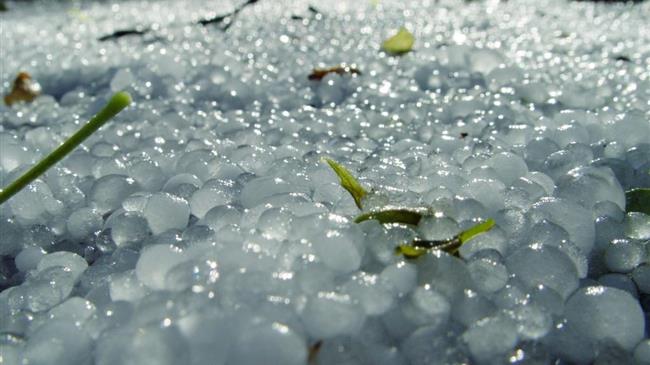 Καταβάλλονται σήμερα προκαταβολές 5 εκατ. € σε βαμβακοκαλλιεργητές για τις χαλαζοπτώσεις