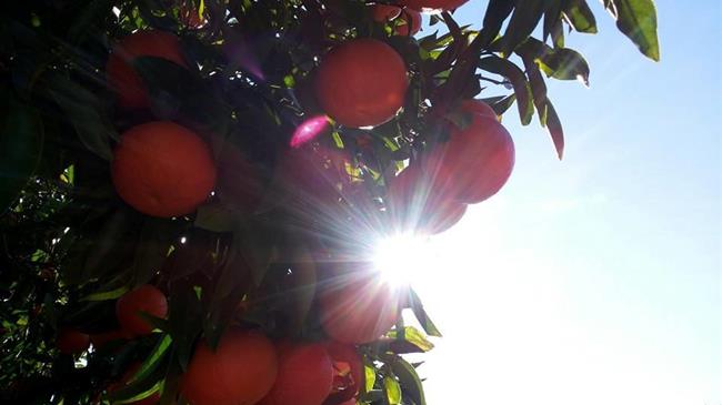 Πως να βγούμε από τα «λιμνάζοντα νερά» του παρωχημένου μοντέλου παραγωγής 