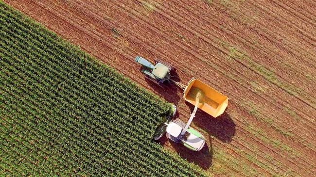 The Battle Over EU's Farm to Fork Strategy