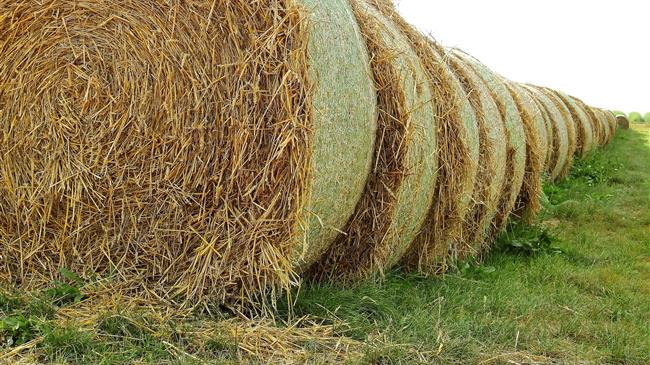   Οι αγρότες του ειδικού καθεστώτος δικαιούνται επιστροφή ΦΠΑ