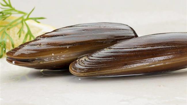 Ξέρετε ότι τρώμε προστατευόμενα είδη στις ταβέρνες;