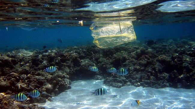 Parliament and Council agree drastic cuts to plastic pollution of environment