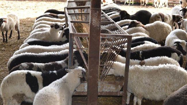 Δέσμευση Μητσοτάκη για μείωση φορολογίας των αγροτών από το 22% στο 9% 