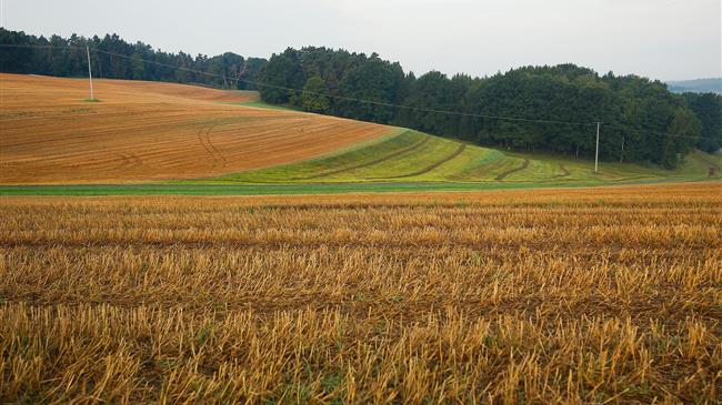 USDA: Άμεση βοήθεια στους αγρότες μέσω του προγράμματος επισιτιστικής βοήθειας